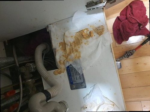 가평 조종면 하수구막힘 배관 세척 후 물 흐름과 주변 상태를 최종 점검하는 모습