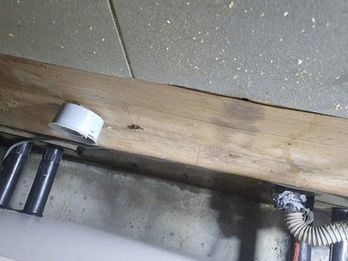 가평 하수구막힘 배관 점검 전 배수 증상과 발생 위치를 확인하는 과정